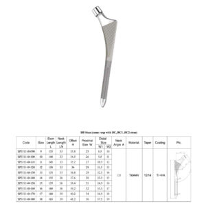 BB Stem (Same Rasp With BC,BC1,CB2 Stem)