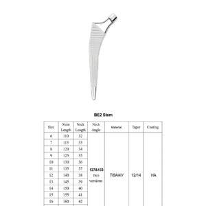 BE Revison Femoral Stem