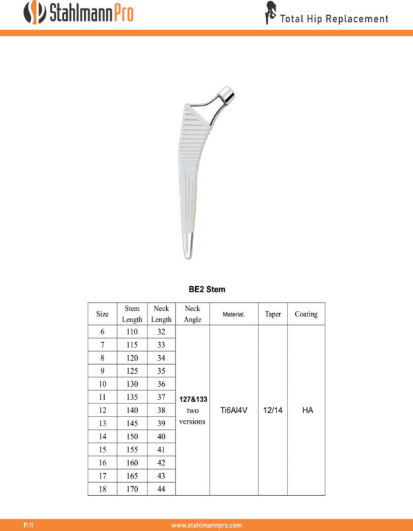 BE Revison Femoral Stem