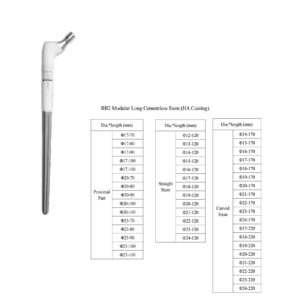 BB2 Modular Long Cementless Stem (HA Coating)