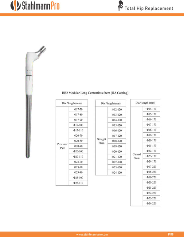 BB2 Modular Long Cementless Stem (HA Coating)