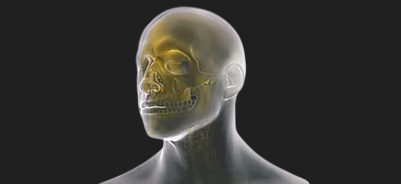 stahlmann pro - Stahlmann Pro | Surgical, Spine & Trauma Implants Manufacturer -