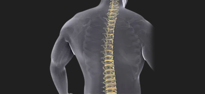 stahlmann pro - Stahlmann Pro | Surgical, Spine & Trauma Implants Manufacturer -