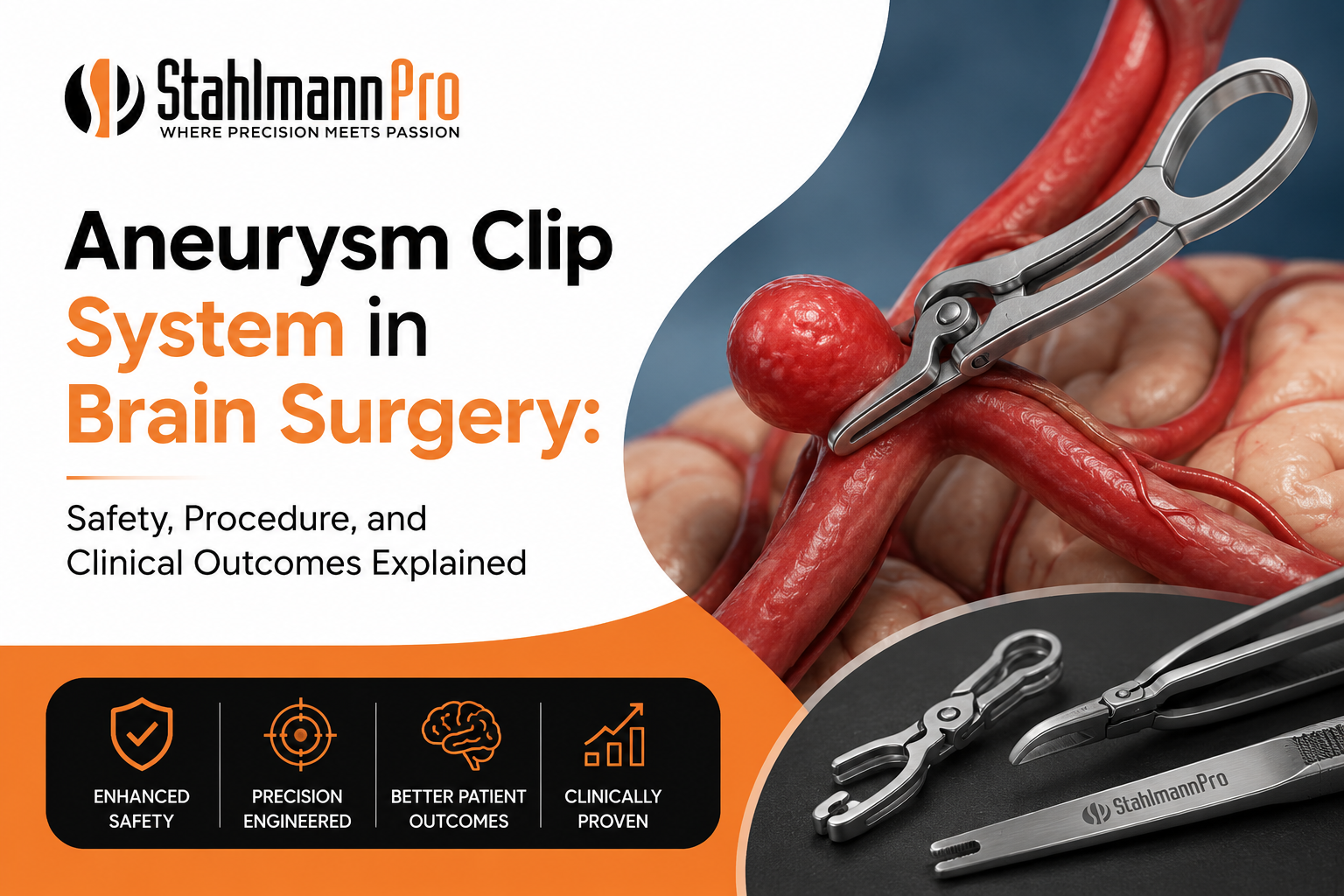 Aneurysm Clip System
